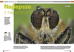Najlepsze z najlepszych